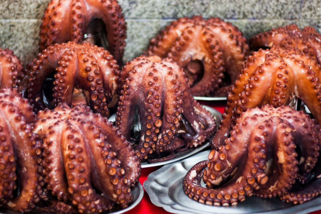 grilled octopus dishes