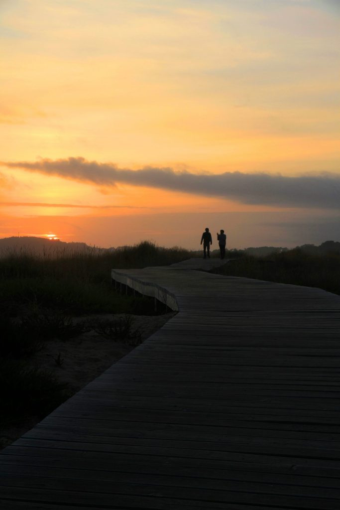 silhouette of 2 person walking on pathway during sunset
